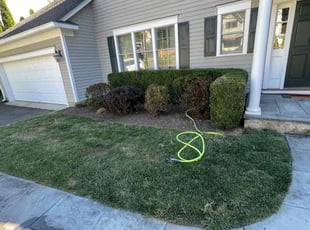 Landscaping by Walther MuΓ±oz for Parsa K. in Greenwich, CT