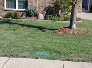 Michael G.'s Grass Cutting service result