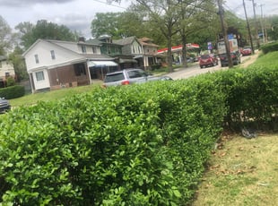 Bush Trimming by Bradley Taylor for Tess R. in Pittsburgh, PA