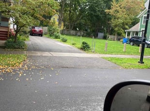 Bush Trimming by James Serio for Elaine I. in Rochester, NY