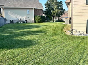 Anamitra B.'s Lawn Service service result