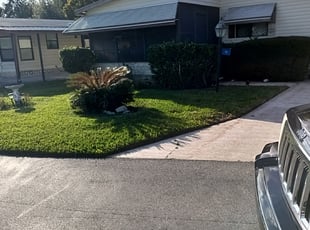 Bush Trimming by Emanuel Kadyebo for Danielle D. in Leesburg, FL