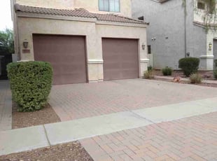 Bush Trimming by Gideon Cook for William V. in Phoenix, AZ