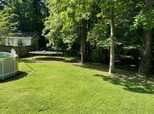 Tamra C.'s Lawn Care service result