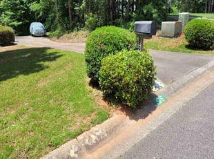 Bush Trimming by Joseph Ray for A B. in Newnan, GA