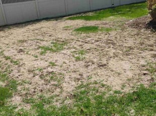 Aeration by Daniel Burton for Deborah M. in Bolingbrook, IL