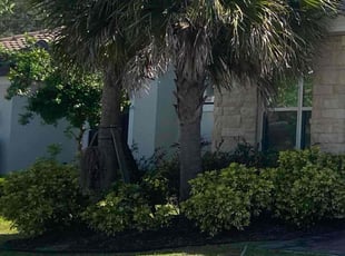 Weeding by Lovell Smith for Keima C. in Kissimmee, FL