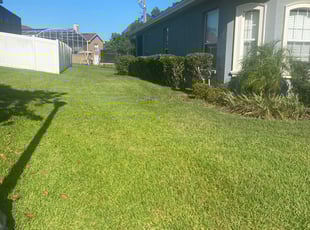 Bush Trimming by Chris Rudd for Josh H. in Lakeland, FL