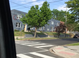 Mulching by Kamonta Hackey for Travis F. in Washington, DC