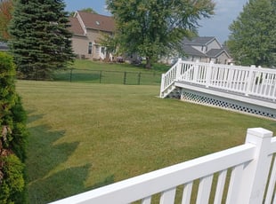 Thomas W.'s Lawn Mowing service result