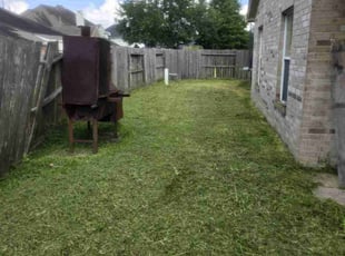 Cleanups by Raymond Aragon for Shyeshia S. in Humble, TX