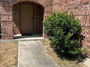 Bush Trimming by Marcus Ward for Cloatee S. in Schertz, TX