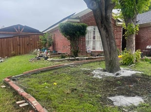 Bush Trimming by Yovani Hernandez for Gina S. in Grand Prairie, TX