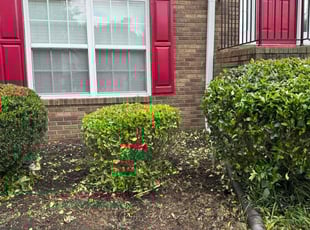 Bush Trimming by Armando J for Teona B. in Lawrenceville, GA