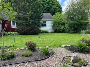 Alexander P.'s Lawn Mowing service result
