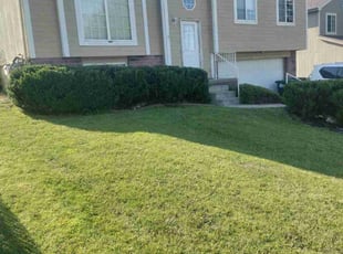 Bush Trimming by Tim Birch for Robert L. in Omaha, NE