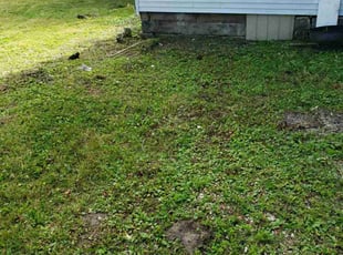 Cleanups by Jeffrey Anderson for Marc K. in Elyria, OH