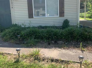 Weeding by Zad Broady for Tyler C. in Jeffersonville, IN