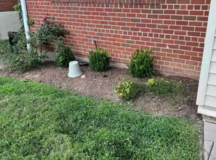 Weeding by Jairon Villagran for Dawn F. in Silver Spring, MD
