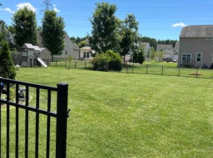 Craig S.'s Lawn Mowing service result