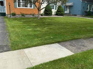 Vincent C.'s Lawn Maintenance service result