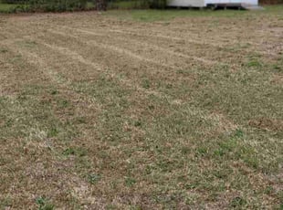 Leaf Removal by Mike Williams for Kitty G. in Mechanicsville, VA