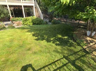 Steven C.'s Lawn Care service result