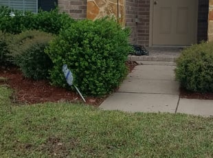 Weeding by Dionte Andrews for Jennifer B. in Fort Worth, TX