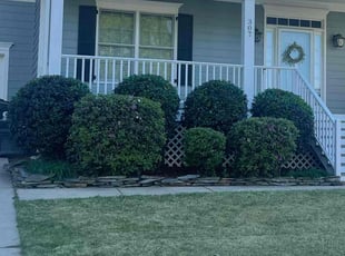 Bush Trimming by Francisco Sanchez-Garcia for Cristina B. in Apex, NC