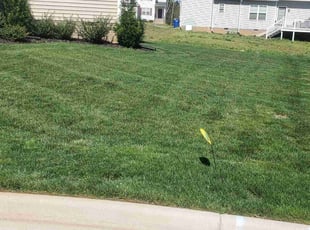 Angela J.'s Grass Cutting service result