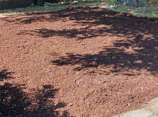 Mulching by Brandon Hill for Eric E. in Portland, OR