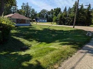 Ava B.'s Lawn Maintenance service result