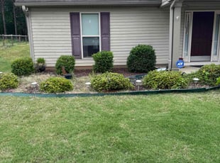 Bush Trimming by Garrett Harris for Denise C. in Monroe, GA