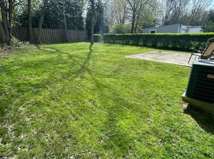 prashant w.'s Grass Cutting service result