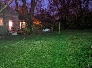 Leaf Removal by Bryant King for Catherine B. in Kansas City, KS