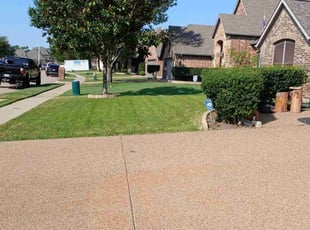 Israel R.'s Yard Cutting service result