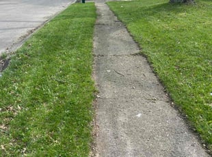 Sandra A.'s Grass Cutting service result