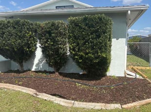 Bush Trimming by Cheryl Badger for Viral D. in Hudson, FL