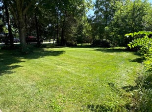 Sue F.'s Grass Cutting service result