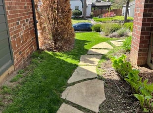 Ronald H.'s Lawn Mowing service result