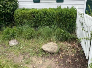 Mack P.'s Cleanups service result