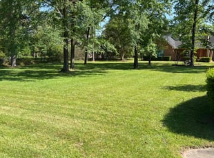 Bob A.'s Lawn Maintenance service result