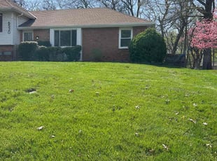 Leaf Removal by Tim Kirkpatrick for Trent G. in Shawnee, KS
