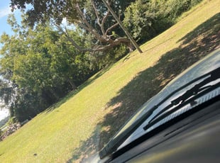 Zane P.'s Lawn Mowing service result