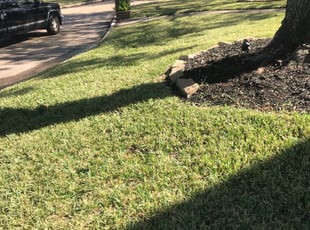 Leaf Removal by Jerry Clayton for MICHAEL L. in Houston, TX