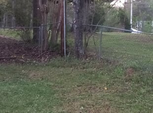 Bush Trimming by Hunter Foster for Eugenia J. in Anderson, SC