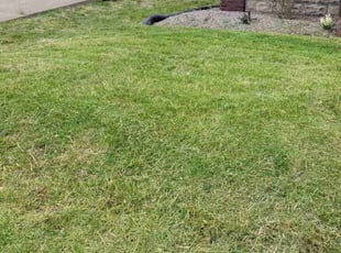Jonathan H.'s Yard Cutting service result
