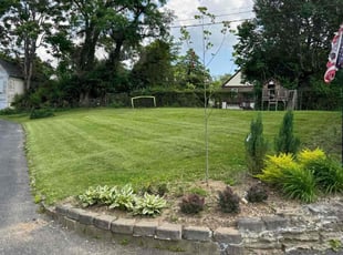 Sarah H.'s Lawn Service service result