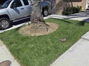 Sharon C.'s Lawn Maintenance service result