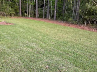 Leaf Removal by James Richards for Colleen B. in Johns Island, SC
